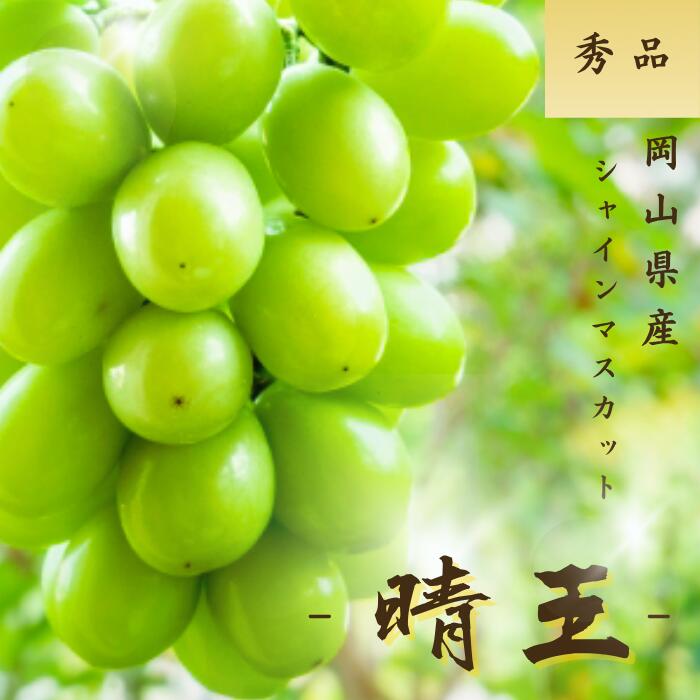 【先行予約】シャインマスカット 晴王 岡山県産 秀品 選べる容量 700g 1kg 1.5kg 2kg 5kg 大房 送料無料 ギフト 贈答用 御中元 御歳暮 敬老の日 葡萄 ぶどう ブドウ プレゼント 御礼 御祝 御供 果物 くだもの フルーツ 　　　晴王シャイン秀品