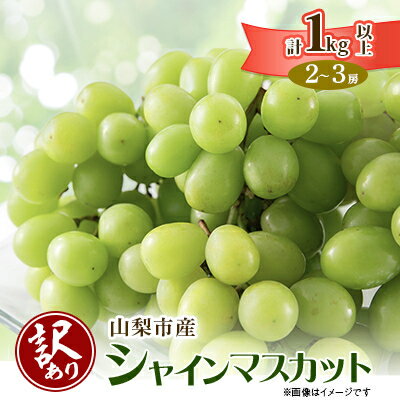 【ふるさと納税】【2026年発送】【訳あり】山梨市産シャインマスカット1kg以上(2～3房)_ ふるさと納税 フルーツ 果物 訳アリ ブドウ ぶどう マスカット 葡萄 くだもの わけあり ふるさと 産地直送 山梨 山梨県 山梨市 人気 美味しい 【配送不可地域：離島】【1427896】