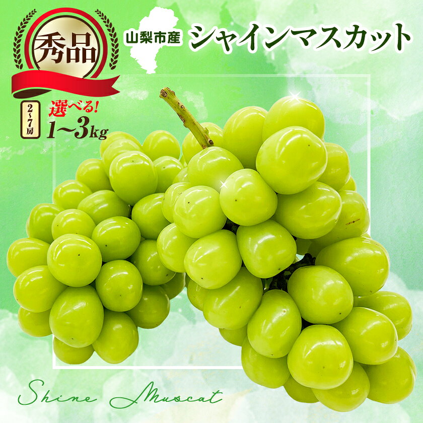 【ふるさと納税】シャインマスカット　1kg・1.2kg(2～3房)・2kg(3～5房)・3kg(4～7房)_ ふるさと納税 フルーツ 果物 ぶどう マスカット シャインマスカット 山梨市 山梨県 葡萄 【配送不可地域：離島】【G1442579】