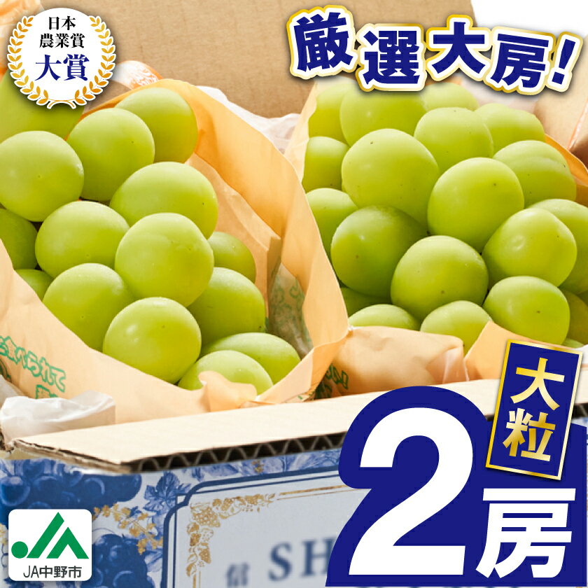 【ふるさと納税】2026年先行予約　9月上旬～10月下旬発送JA中野市大粒 大房シャインマスカット2房1.3kg以上_ シャインマスカット 長野県 2024 4L 贈答用 ギフト ふるさと ぶどう 葡萄 ブドウ フルーツ 果物 【配送不可地域：離島】【1459211】