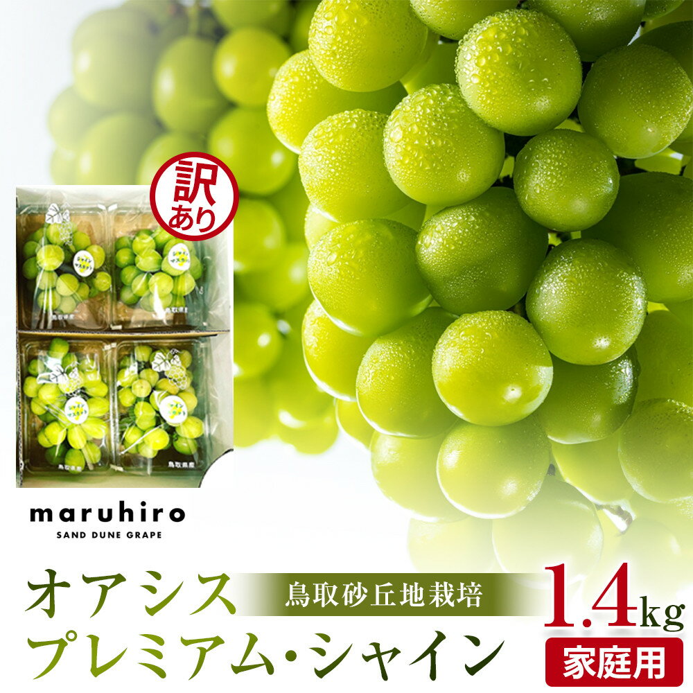 【ふるさと納税】【先行予約】シャインマスカット 訳あり 鳥取砂丘地産 1.4kg（350g×4パック） ※離島への配送不可 ※2026年8月下旬～10月下旬頃に順次発送予定 | オアシスプレミアム シャインマスカット 葡萄 ブドウ フルーツ 果物 家庭用 鳥取県産 北栄町 おすすめ