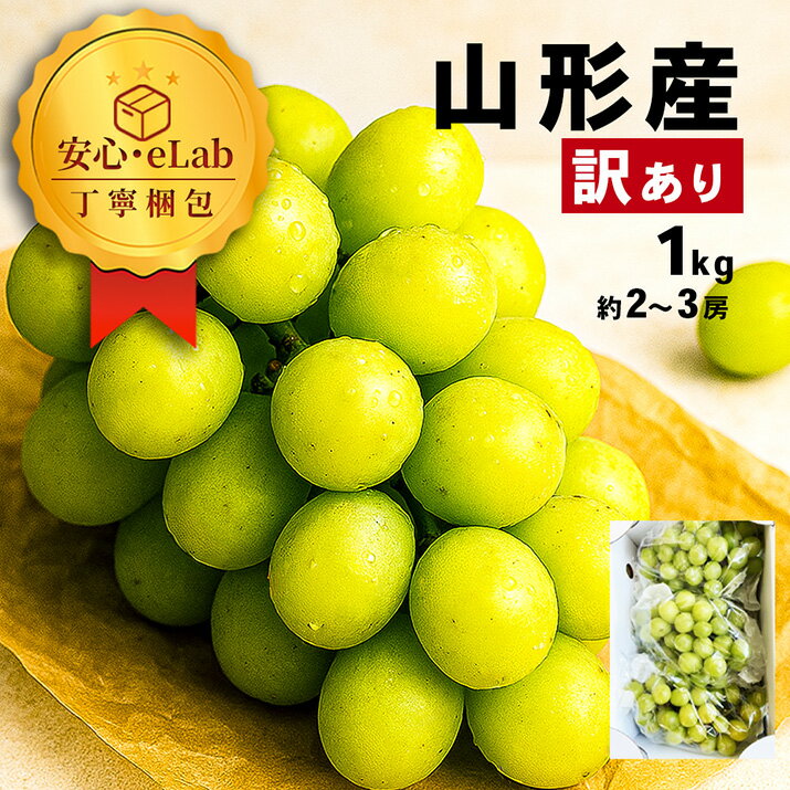 シャインマスカット 訳あり 約1kg 2〜3房入り 山形県産 ぶどう 産地直送 お徳用 家庭用 大粒 山形県から産地直送 わけあり 訳アリ 種無し 送料無料 果物 ブドウ 蒲萄 くだもの 果物 フルーツ マスカット【2026年9月下旬発送 先行予約】