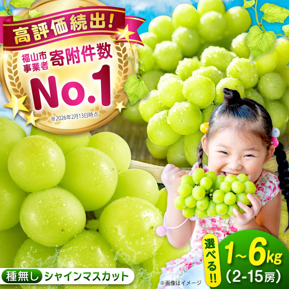 【ふるさと納税】 シャインマスカット 約1kg・2kg・4kg・6kg【先行予約・2026年9月発送】種なし 大粒 高糖度 送料無料 ぶどう 葡萄 ブドウ 果物 フルーツ ギフト 厳選 広島県産 ふるさと納税 マスカット しゃいんますかっと 約1kg/2〜3房 [304609] [BAEV004]