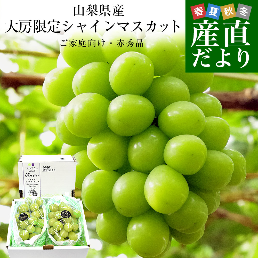 【ダイヤモンド・プラチナ会員限定クーポン配布中】山梨県産 大房シャインマスカット ご家庭向け・赤秀品 1.1キロから1.2キロ前後（2房）送料無料 ぶどう ブドウ 種なしぶどう 葡萄 ※クール便
