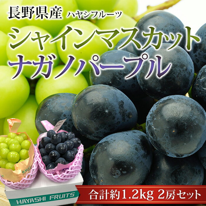 ぶどう シャインマスカット ナガノパープル 約1.2kg 2房 セット 渋谷ハヤシフルーツ 長野県産 ブドウ 葡萄 シャイン マスカット お取り寄せ 果物 ギフト 贈答 プレゼント 内祝い 産直プレミアム