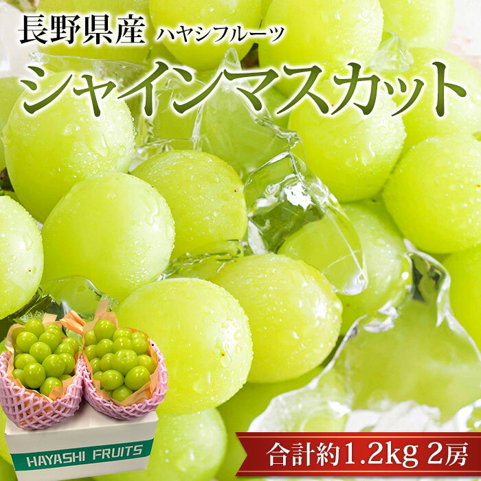 ぶどう シャインマスカット 約1.2kg 2房 渋谷ハヤシフルーツ 長野県産 ブドウ 葡萄 シャイン お取り寄せ 果物 ギフト 贈答 プレゼント 内祝い 産直プレミアム