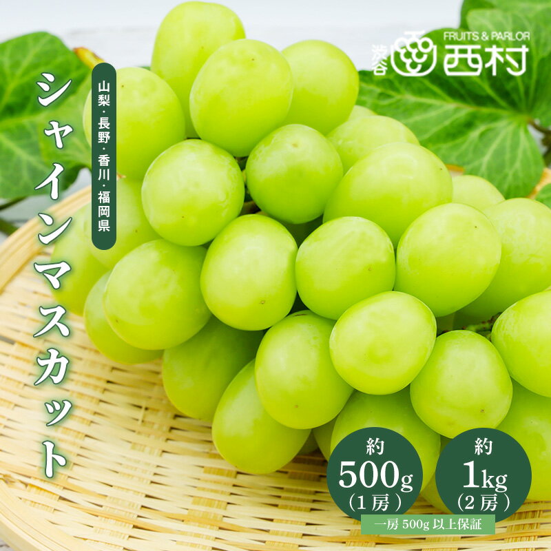 シャインマスカット 秀品 2房 約1kg以上 1房 約500g以上 大房 送料無料 産地厳選 長野 山梨 香川 福岡 ぶどう 葡萄 ギフト フルーツ 贈答品 のし対応 果物 高級 皮ごと食べれる 選べる内容量 御見舞い 御歳暮 セール お買い得 父の日 お中元