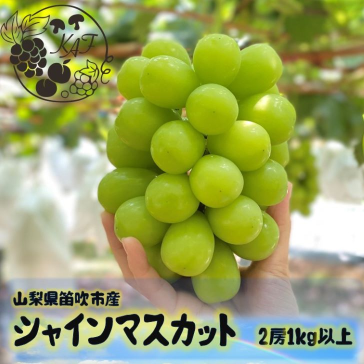 【ふるさと納税】【2026年発送★先行予約】笛吹市産シャインマスカット1キロ以上（2房） ふるさと納税 シャインマスカット 大粒 笛吹市 国産 人気 期間限定 ぶどう ブドウ 葡萄 贈り物 ギフト プレゼント 旬 果物 フルーツ 山梨県 送料無料 113-003