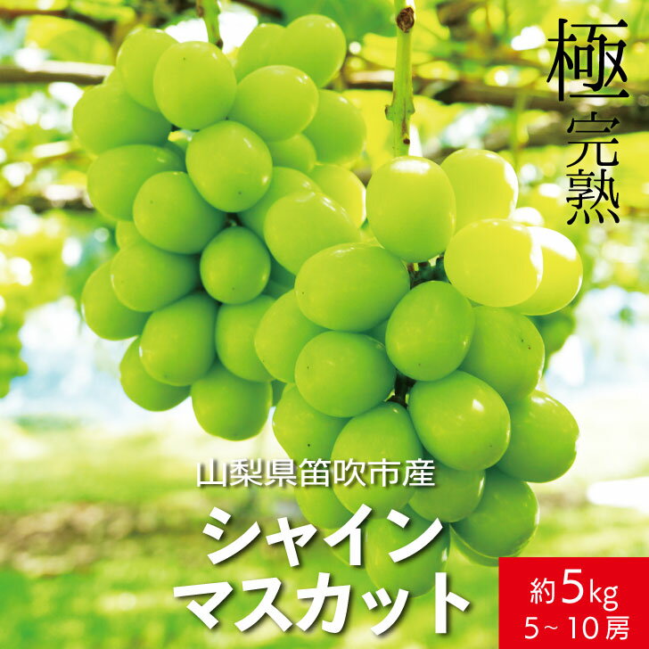 【ふるさと納税】【2026年発送★先行予約】☆絶品☆ シャインマスカット 5-10房約5.0kg ふるさと納税 おすすめ ランキング シャインマスカット 笛吹市 国産 人気 期間限定 ぶどう 葡萄 果物 甘い デザート おやつ 山梨県 送料無料 090-006