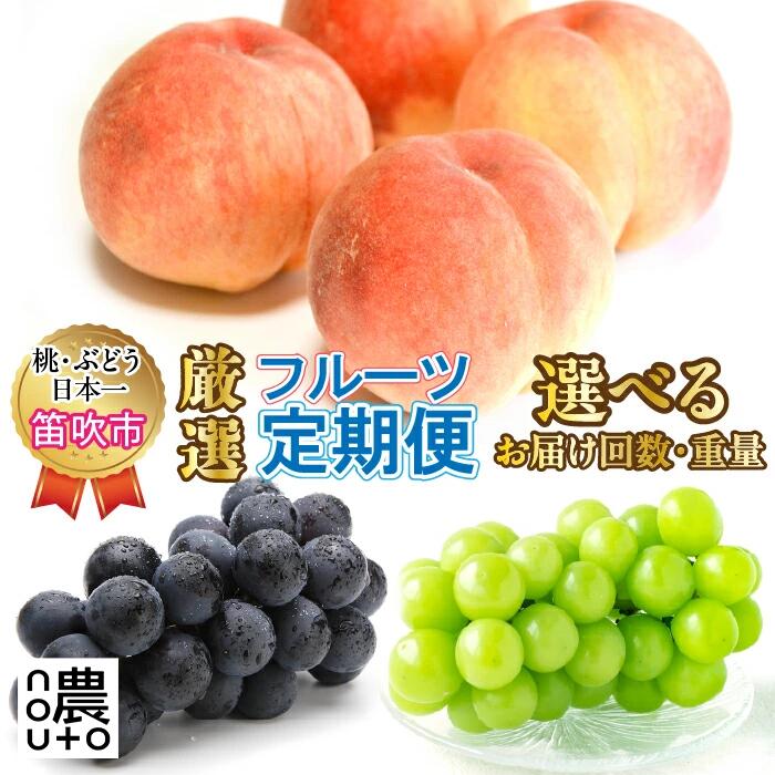 【ふるさと納税】【2026年発送★先行予約】選べる 定期便 フルーツ 2回 3回 桃 巨峰 シャインマスカット 盛り合わせ ※クール便 | ぶどう 果物 白桃 白鳳 朝採れ 山梨県 数量限定 種無し 旬 産地直送 果実 贈答 ギフト 家庭用 6月 7月 8月 154-028/039/100