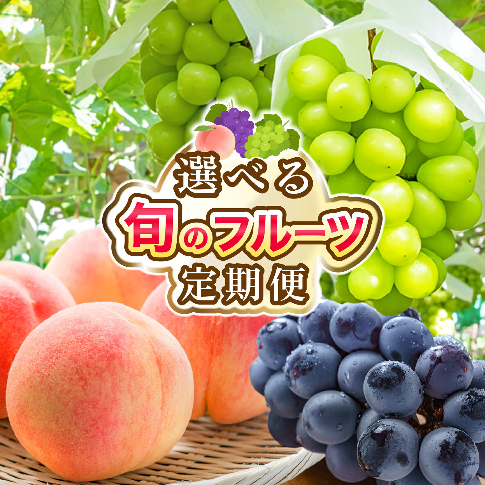 【ふるさと納税】フルーツ 定期便 フルーツ定期便 桃 シャインマスカット ぶどう 巨峰 ブドウ もも 葡萄 果物 山梨県 笛吹市 旬のフルーツ 高評価 人気 厳選 詰め合わせ 選べる2回・3回 送料無料 2026年発送 先行予約