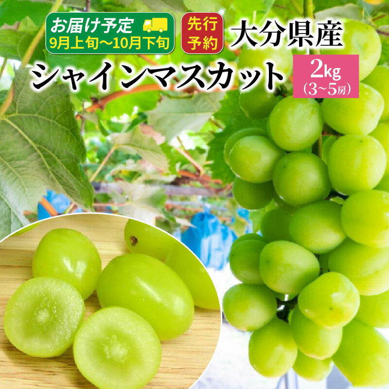 【ふるさと納税】シャインマスカット 令和8年発送 約 2kg 3～5房 大分県産 9月 10月 ぶどう マスカット フルーツ 果物 お取り寄せ 人気 葡萄 送料無料