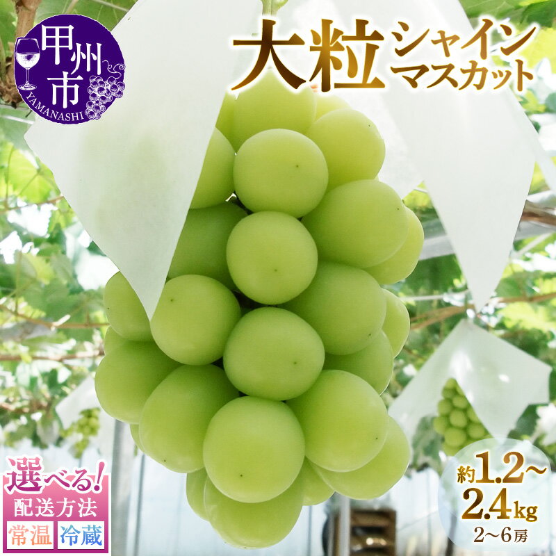【ふるさと納税】 2026年 先行予約 シャインマスカット 選べる内容量 約1.2kg 約2.4kg 2〜6房 配送方法 常温 冷蔵 果物 フルーツ 期間限定 8月 9月 10月 発送 マスカット ぶどう 葡萄 くだもの 人気 おすすめ 2026 予約 山梨 甲州市産 贈答 家庭用 社員マスカット （MG）
