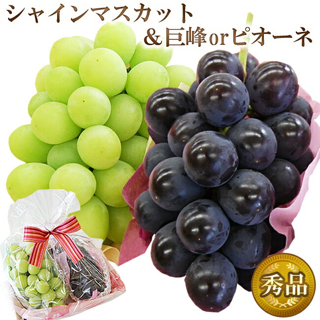 ギフト シャインマスカット ＆ 巨峰 または ピオーネ 2色 ぶどう セット 詰め合わせ お彼岸 皮ごと 種なし ブドウ 高級 フルーツ 敬老の日 誕生日 内祝 御礼 御祝 お見舞 お祝 お返し 初盆 お供 法事 法要 志 送料無料 クール便