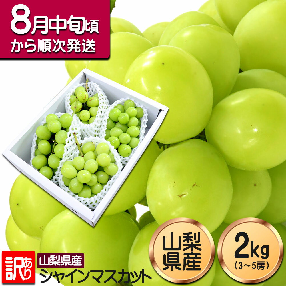 【最大50％OFFsale】10日迄 シャインマスカット 訳あり 2kg ぶどう 山梨県産 粒不揃い 路地栽培 マスカット ブドウ 葡萄 ぶどう 3房〜5房 敬老の日 家庭用 プレゼント ギフト