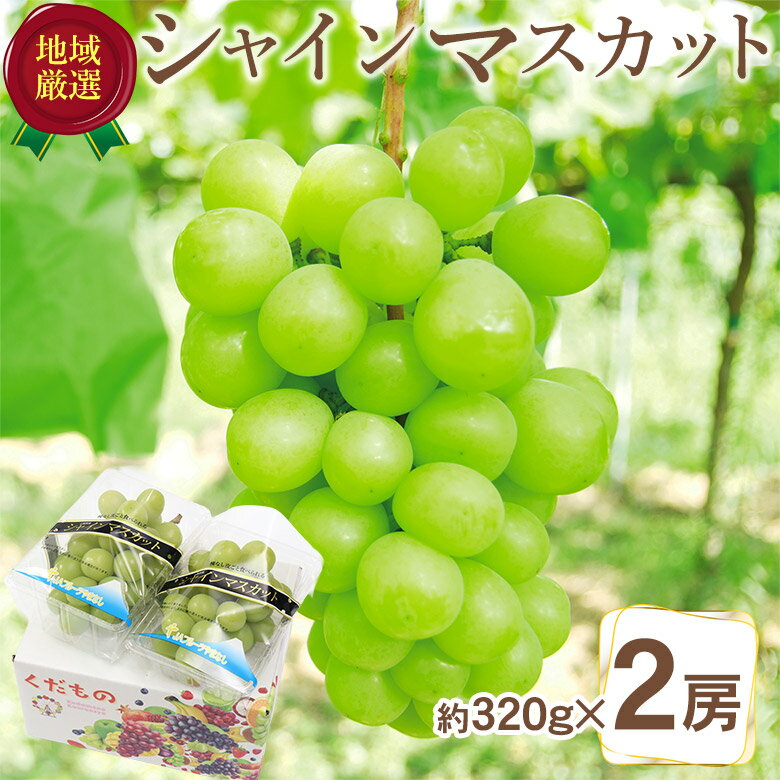 【9月初旬より順次ご発送 】【 シャインマスカット 秀品 1房あたり 約320g 2房 】 秀品 2房 約 640g 〜650g 送料無料 シャインマスカット 地域厳選 岡山 山梨 長野 福岡 ご家庭用 マスカット ぶどう ギフト お中元 暑中見舞い 訳あり 敬老の日 ギフト プレゼント