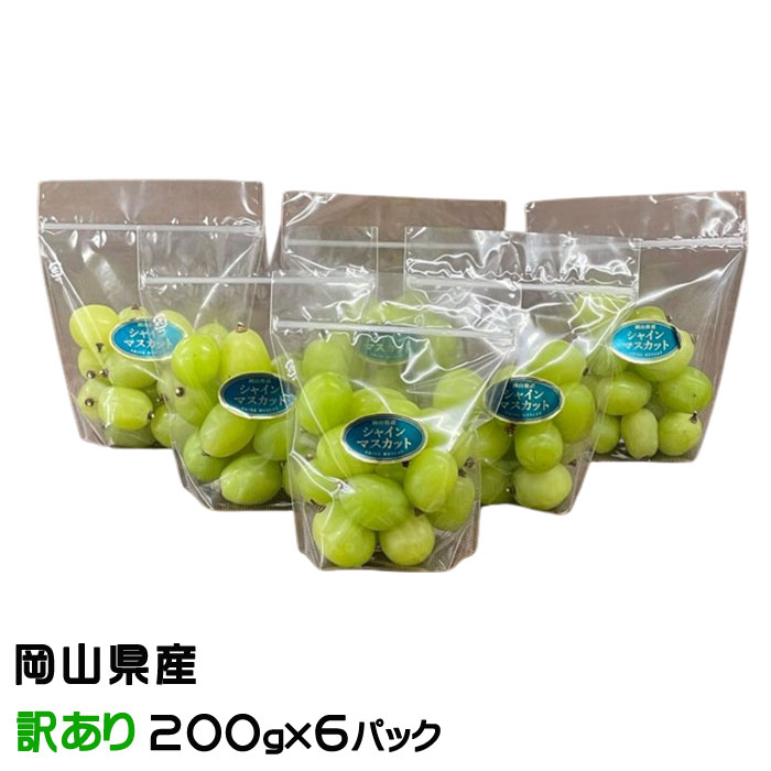 お中元 ぶどう シャインマスカット 摘み落とし 風のいたずら ちょっと訳あり 200g×6パック 岡山県産 ギフト 葡萄 ぶどう ブドウ ギフト お取り寄せ