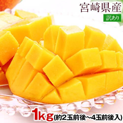 訳あり 極甘 完熟 マンゴー 1kg 【本場宮崎県産】(約2玉前後-4玉前後入) 【送料無料 クール便】 スイーツ 家庭用 大中小サイズ無選別 季節 家庭用 デザート 《配送予定に記載の日程でお届け》