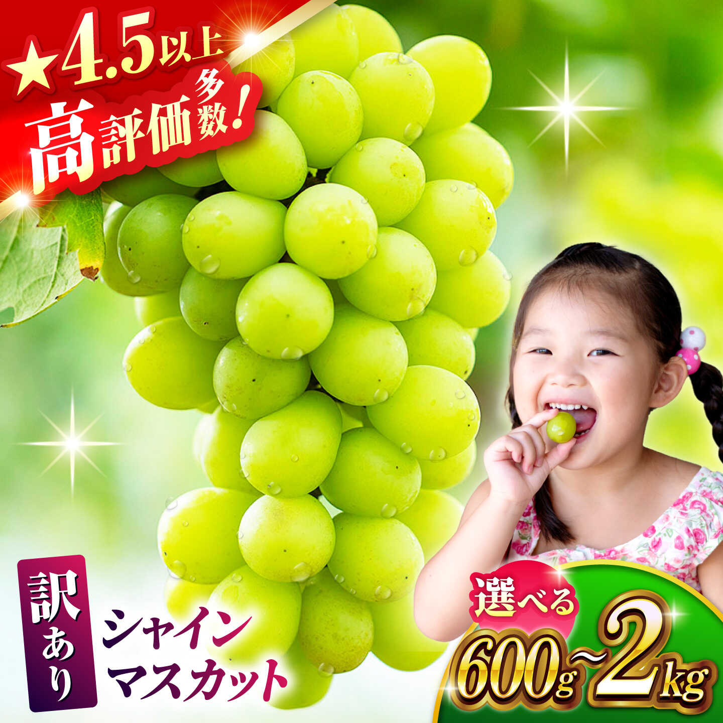 【ふるさと納税】【先行予約】【訳あり】容量選べる シャインマスカット （約600g~2kg）マスカット ブドウ 葡萄 房 国産 熊本県 山鹿 果物 くだもの フルーツ 特産品 甘い 果汁 九州 熊本 熊本県 山鹿 山鹿市 送料無料 1万円 10000円 以下【合同会社 社方園】[ZBZ027]