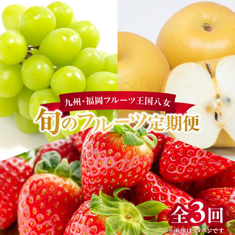 【ふるさと納税】九州・福岡フルーツ王国八女 旬のフルーツ定期便【全3回】＜配送不可：北海道・沖縄・離島＞ フルーツ 定期便 あまおう シャインマスカット 梨 季節のフルーツ 果物 おすすめ セット 産地直送 福岡県 八女市