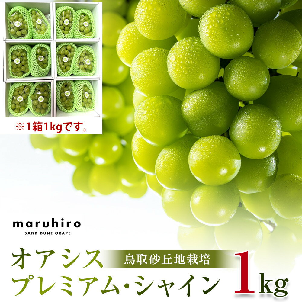 【ふるさと納税】【先行予約】オアシスプレミアムシャイン 約1kg 2房（鳥取砂丘地栽培）※2026年8月下旬頃～10月下旬頃に順次発送 | オアシスプレミアムシャイン シャインマスカット 葡萄 ブドウ　産地直送 フルーツ 果物 甘い 人気 鳥取県産 北栄町 おすすめ