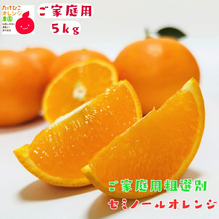 ご家庭用 粗選別 セミノール オレンジ 5kg_ わけあり 訳あり フルーツ 果物 送料無料 オレンジ くだもの 産地直送 和歌山 県 有田 自宅用 不揃い みかん 農家直送 国産