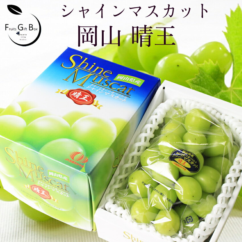 2026 ギフト 岡山県産 シャインマスカット 晴王 赤秀品 1房700g-1kg 大粒大房 贈答用 御中元 御歳暮 葡萄 ぶどう ブドウ プレゼント 御礼 御祝 御供 果物 くだもの フルーツ 【岡山果物工房】 楽天グルメ大賞