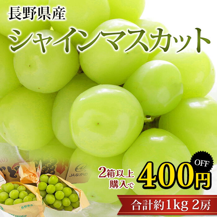【マラソン期間限定P2倍】【2箱以上ご購入で400円OFF】ぶどう シャインマスカット 約1kg 2房 長野県産 ブドウ 葡萄 マスカット お取り寄せ フルーツ 果物 ギフト 贈答 プレゼント 内祝い 出産祝い 産直プレミアム