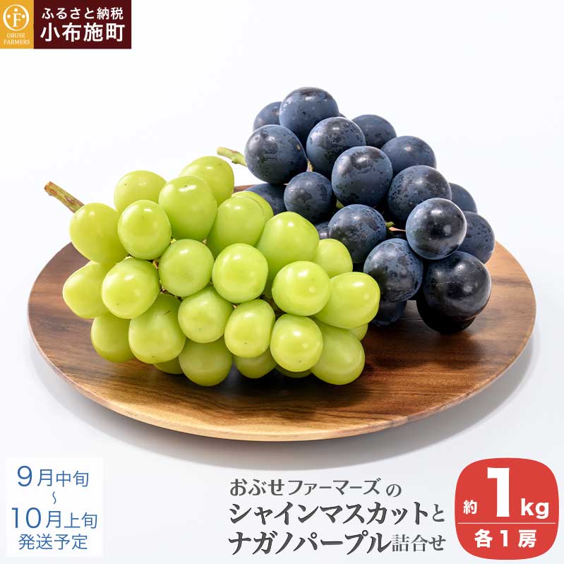 【ふるさと納税】皮ごと食べられる長野県産ぶどう2種詰め合わせ シャインマスカット ＆ ナガノパープル 約1kg 各1房 ［おぶせファーマーズ］ 数量限定 果物 フルーツ ぶどう 葡萄 長野 信州 2種 クール便 味比べ 詰合せ お楽しみ 令和8年産【2026年9月中旬〜10月上旬発送】