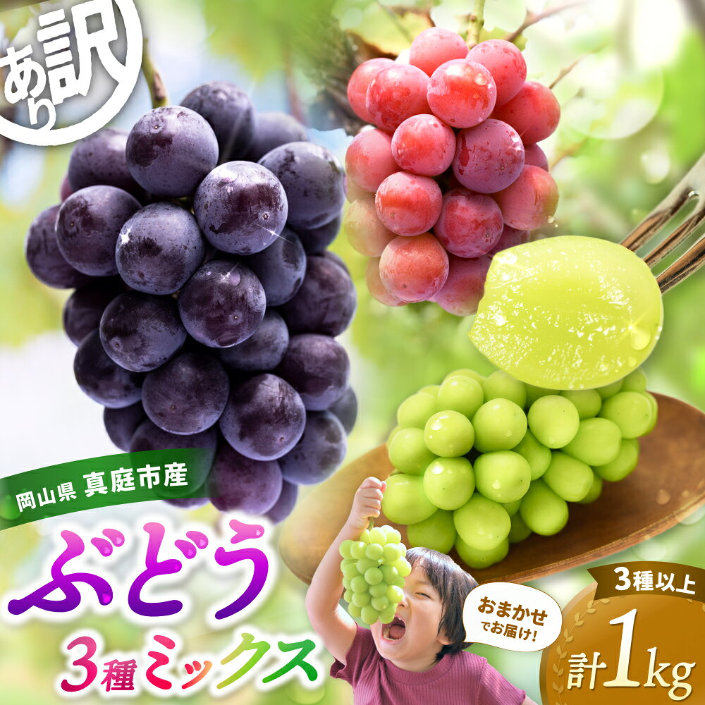 【ふるさと納税】 訳あり ぶどう シャインマスカット セット 詰め合わせ 食べ比べ 3種以上 1kg 房または粒詰め 2026年発送 先行予約 種なし ブドウ 先行予約 ぶどう 送料無料 数量限定 期間限定 産地直送 人気 果物 ピオーネ フルーツ くだもの 岡山 ギフト 葡萄 セット
