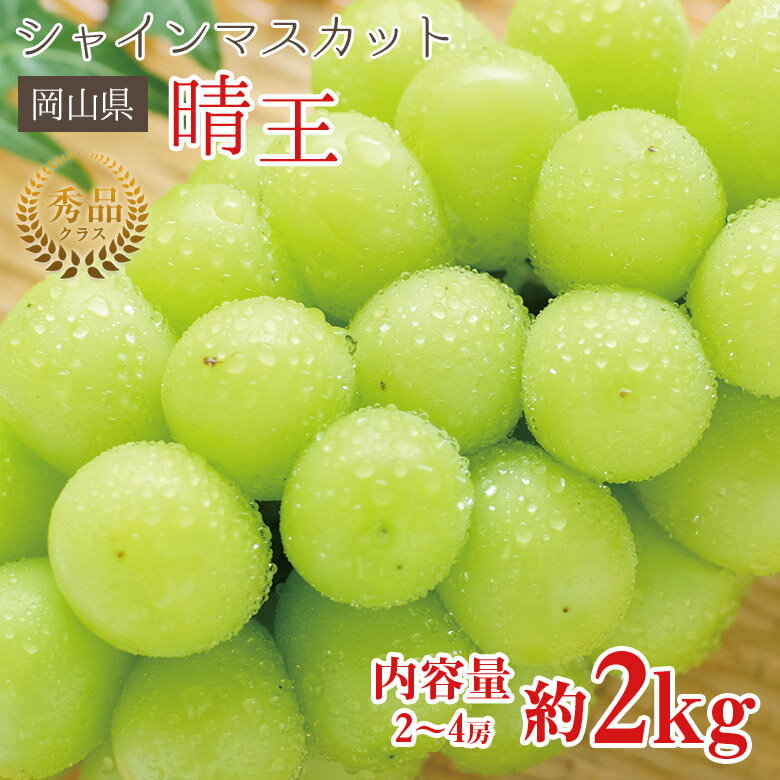 【8月下旬より順次ご発送 】【晴王 秀品 約 2kg 2房 ~ 4房 】 送料無料 シャインマスカット 晴王 岡山県 シャンマスカット 約 2kg 2〜4房 岡山 ご家庭用 マスカット ぶどう ギフト お中元 暑中見舞い 訳あり 敬老の日 ギフト プレゼント
