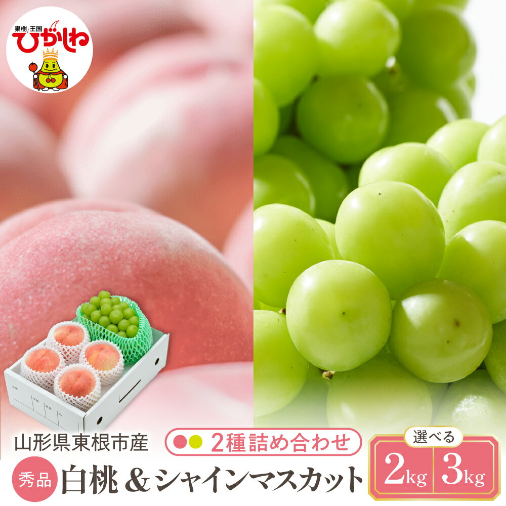 【ふるさと納税】2026年 先行予約 白桃 &amp; シャインマスカット 詰め合わせ ( 選べる : 約 2kg / 約 3kg )| 桃 品種おまかせ ぶどう 葡萄 マスカット フルーツ くだもの 果物 セット 箱入り 化粧箱 期間限定 大容量 先行予約 取り寄せ ご当地 特産 産地 直送 送料無料
