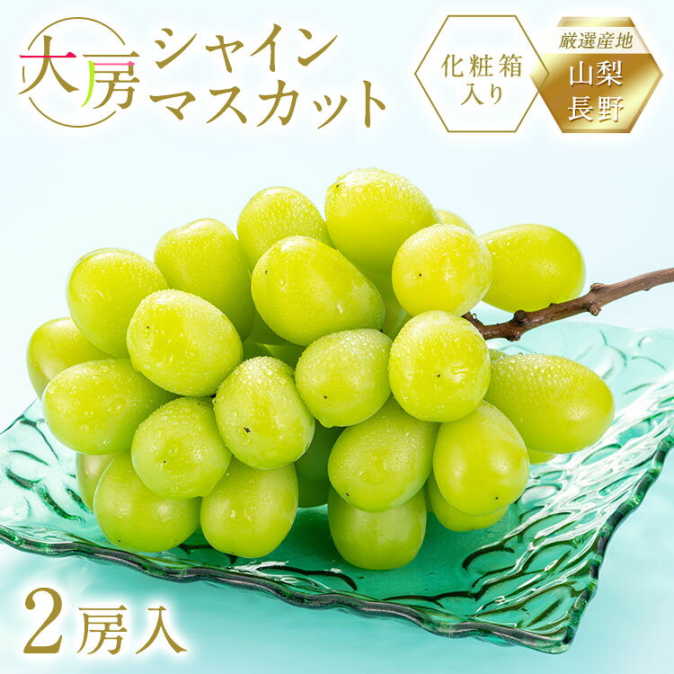 【お買い物マラソン開催中】シャインマスカット 2房 化粧箱入り 産地 厳選 ギフトバレンタイン ホワイトデー 御祝 御見舞 贈り物 御供 誕生日 プレゼント 内祝 フルーツ盛り合わせ かご盛 詰合せ シャインマスカット