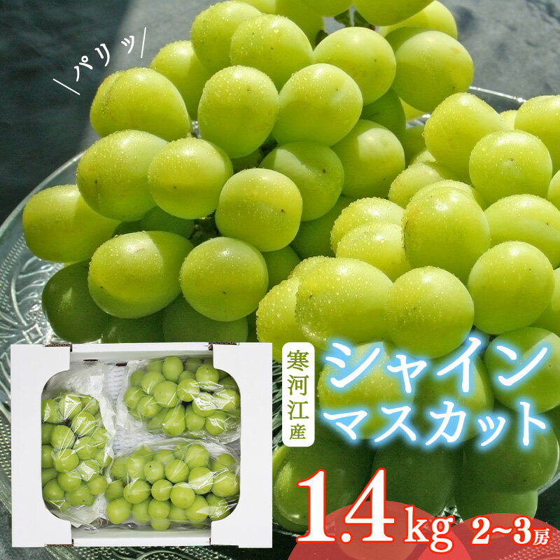 【ふるさと納税】《先行予約》 令和8年産 「 シャインマスカット 」 2〜3房（計1.4kg） 山形県産 【2026年9月中旬頃〜10月下旬頃発送予定】※配送不可 沖縄・離島 ジューシー デザート おやつ フルーツ 果物 果実 葡萄 ブドウ 種なし 種無し 特産 お取り寄せ 甘い