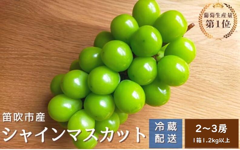 【ふるさと納税】【2026年発送★先行予約】シャインマスカット　2〜3房1.2kg以上　クール便対応★ ふるさと納税 人気 おすすめ ランキング シャインマスカット 国産 人気 期間限定 ぶどう ブドウ 葡萄 旬 果物 フルーツ 山梨県 笛吹市 送料無料 136-011