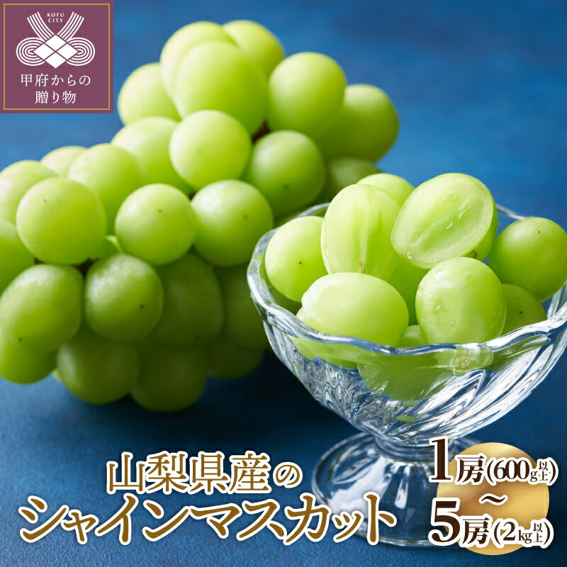 【ふるさと納税】 シャインマスカット 山梨 【選べる内容量 600g・1kg・2kg】 10000円 先行予約 2026年 ぶどう フルーツ 果物 1房 2～3房 3～5房 冷蔵便 生産量日本一 フルーツ王国山梨 2026年8月下旬〜10月上旬にかけて順次発送 山梨県甲府市 k212-006
