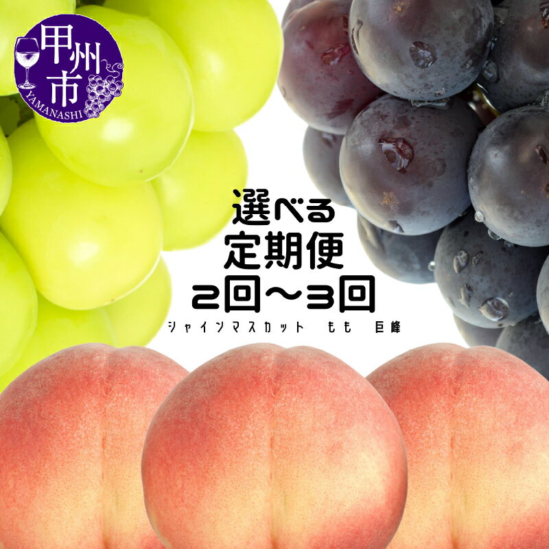 【ふるさと納税】 フルーツ 定期便 2026年 果物 桃 約1.8kg 6〜8玉 巨峰 約1kg 2房 シャインマスカット 約1.1kg 2〜3房 期間限定 数量限定 ぶどう もも 果物 おすすめ 甲州市産 山梨 旬 果実 厳選 贈答 ギフト 社員マスカット （MG）