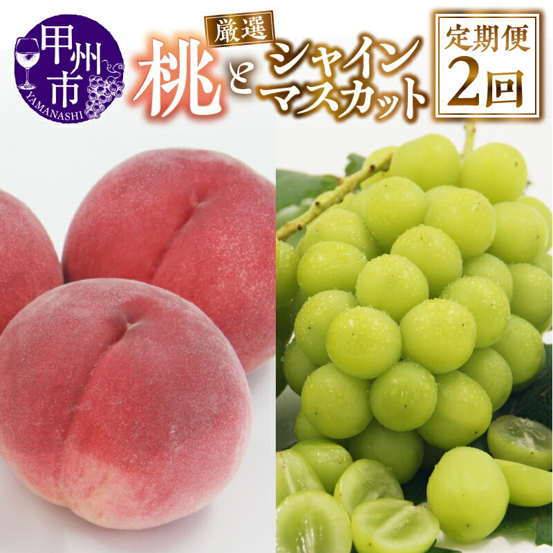 【ふるさと納税】 フルーツ 定期便 2回 2026年 もも 約2kg 4〜7玉 シャインマスカット 約1kg 2〜3房 果物 厳選 新鮮 朝採れ 産地直送 数量限定 期間限定 6月 7月 8月 9月 10月 発送 甲州市 人気 果実 ぶどう 葡萄 桃 山梨県 人気 社員マスカット （APX） 【C-175】