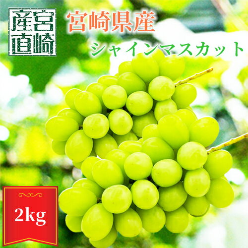 【7月中旬以降順次発送予定】宮崎産 シャインマスカット 3〜4房 約 2kg 種なし お中元 ギフト プレゼント女性 誕生日 還暦祝い 古希祝い 退職祝い 新築祝い 結婚祝い お供え 宮崎産直
