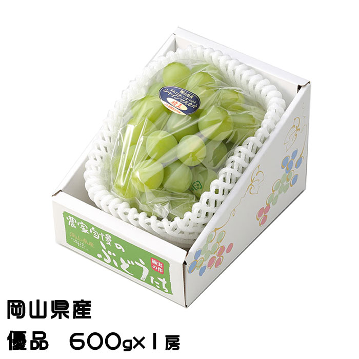 お中元 ぶどう シャインマスカット晴王 優品 600g×1房 岡山県産 葡萄 ブドウ ギフト お取り寄せ