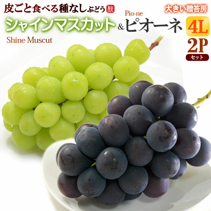 シャインマスカット ＆ 岡山ピオーネ 4L×2房 (約1.2kg) 岡山産 秀品 しゃいんますかっと ぴおーね ぶどう ブドウ 葡萄 皮ごと 種無し 食品 フルーツ 果物 ブドウ ギフト 贈答 進物 お供え 御供え 甘い 人気 男性 女性 喜ばれる 2026 送料無料