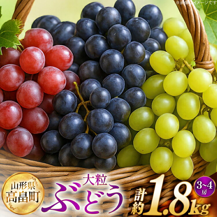 【ふるさと納税】 【期間限定発送】 ぶどう 2～3色 約 1.8kg 詰め合わせ セット [JA山形おきたま 山形県 高畠町 tk06ays870056] シャインマスカット 葡萄 セット ブドウ 巨峰 ピオーネ クイーンニーナ ゴルビー 高尾 蔵王おとめ 大粒 農家直送 朝採れ 食べ比べ 1.8キロ