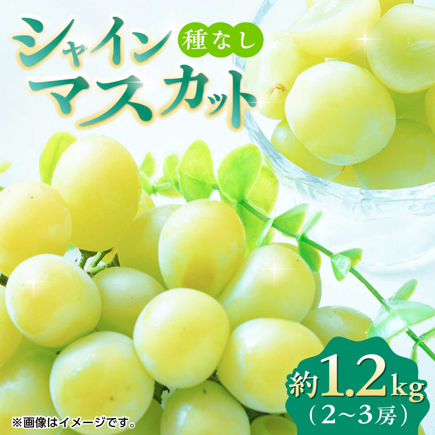 【ふるさと納税】【先行予約】シャインマスカット 約1.2kg 2〜3房 ぶどう 種なし 旬 おすすめ ジューシー 食感 皮ごと まるごと 食べられる 新鮮 高糖度 美しい 甘い おいしい レビュー 評価 高評価 人気 ランキング 国産 山鹿市【合同会社 福福堂】[ZCN006]