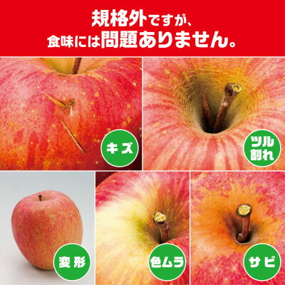 【ふるさと納税】今年も約10kgお届けします!　訳ありりんご「サンふじ」24～46個入【R8年12月中旬～発送開始】_ りんご 林檎 訳あり フルーツ 果物 くだもの 傷 規格外 青森県 10kg 人気 おすすめ 送料無料 【配送不可地域：離島・沖縄県】【1333055】