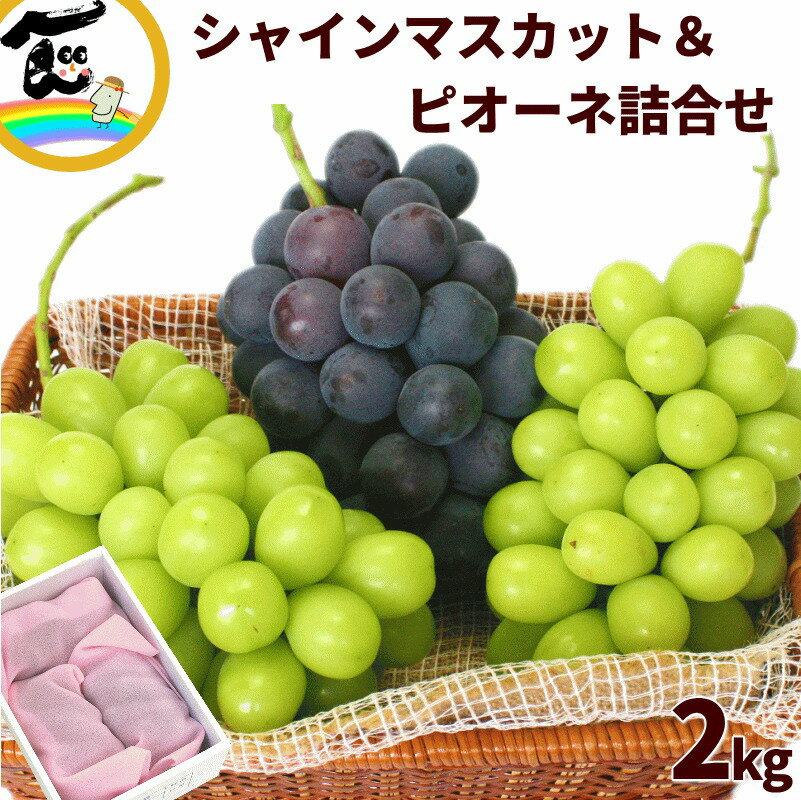 ぶどう 山形県産 ピオーネ・シャインマスカット詰合せ 秀品 2kg 各1〜2房 フルーツギフト 高級ぶどう 産地直送 送料無料