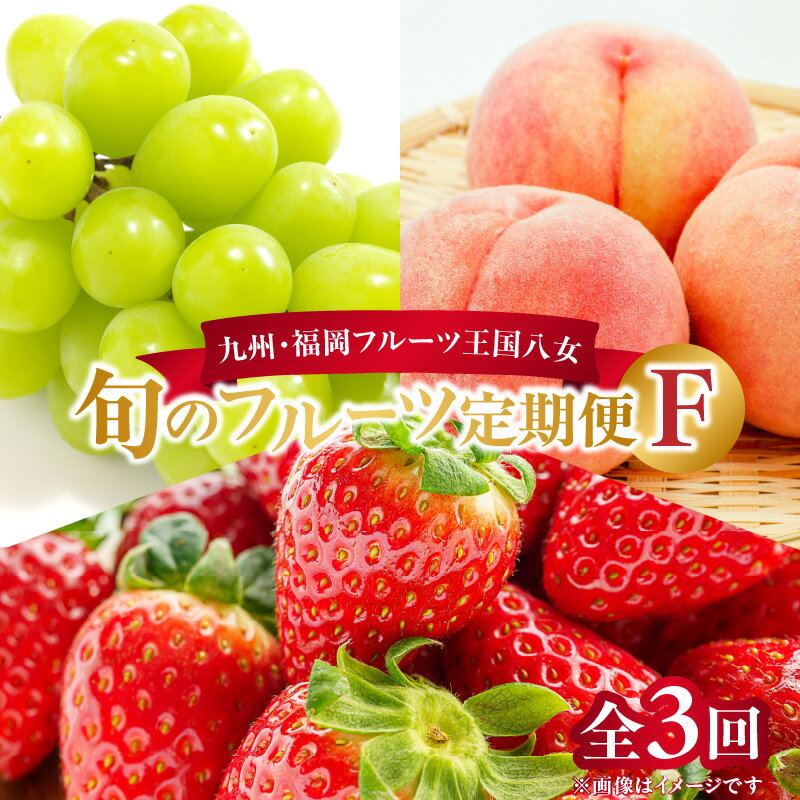 【ふるさと納税】九州・福岡フルーツ王国八女 旬のフルーツ定期便【全3回】F ＜配送不可：北海道・沖縄・離島＞ フルーツ 定期便 あまおう シャインマスカット もも 季節のフルーツ 果物 おすすめ セット 産地直送 福岡県 八女市