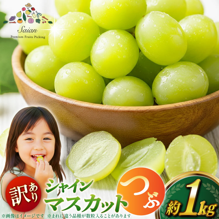 【ふるさと納税】 【2026年発送】シャインマスカット 訳あり 家庭用 粒 約1kg 山梨県産 冷蔵発送 果物 フルーツ 山梨 ぶどう マスカット ブドウ 葡萄 規格外 期間限定 数量限定 季節限定 冷蔵 山梨 [斎庵 山梨県 韮崎市 20745284]