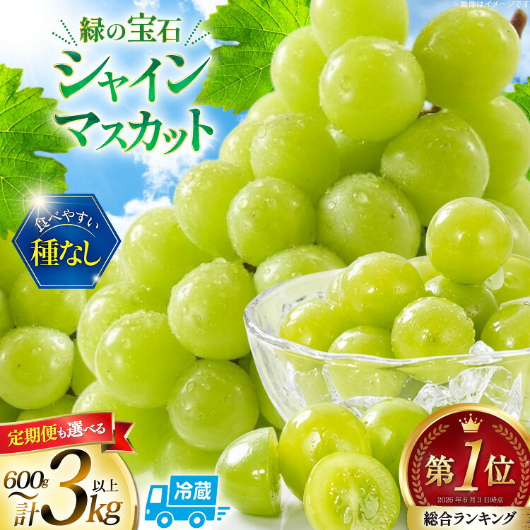 【ふるさと納税】 総合ランキング1位 高評価★5.0 シャインマスカット 先行予約 1kg 2kg 3kg 定期便 選べる容量 訳あり ふるさと納税 フルーツ [山梨県 韮崎市 20745480 REGALO] シャインマスカット マスカット ふるさと納税 ギフト 山梨県産 ぶどう 果物 ブドウ ◎