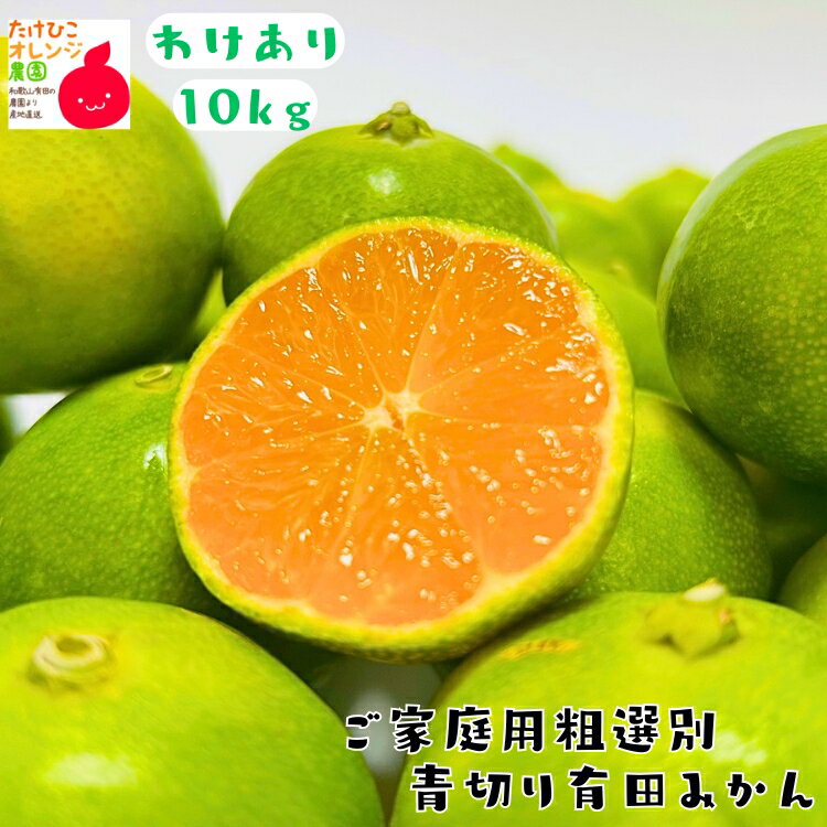 【予約】ご家庭用 粗選別 青切り 有田みかん 10kg+200g(痛み補償分)_ わけあり 訳あり フルーツ 果物 送料無料 ミカン みかん くだもの 産地直送 人気 美味しい 和歌山 和歌山県 有田