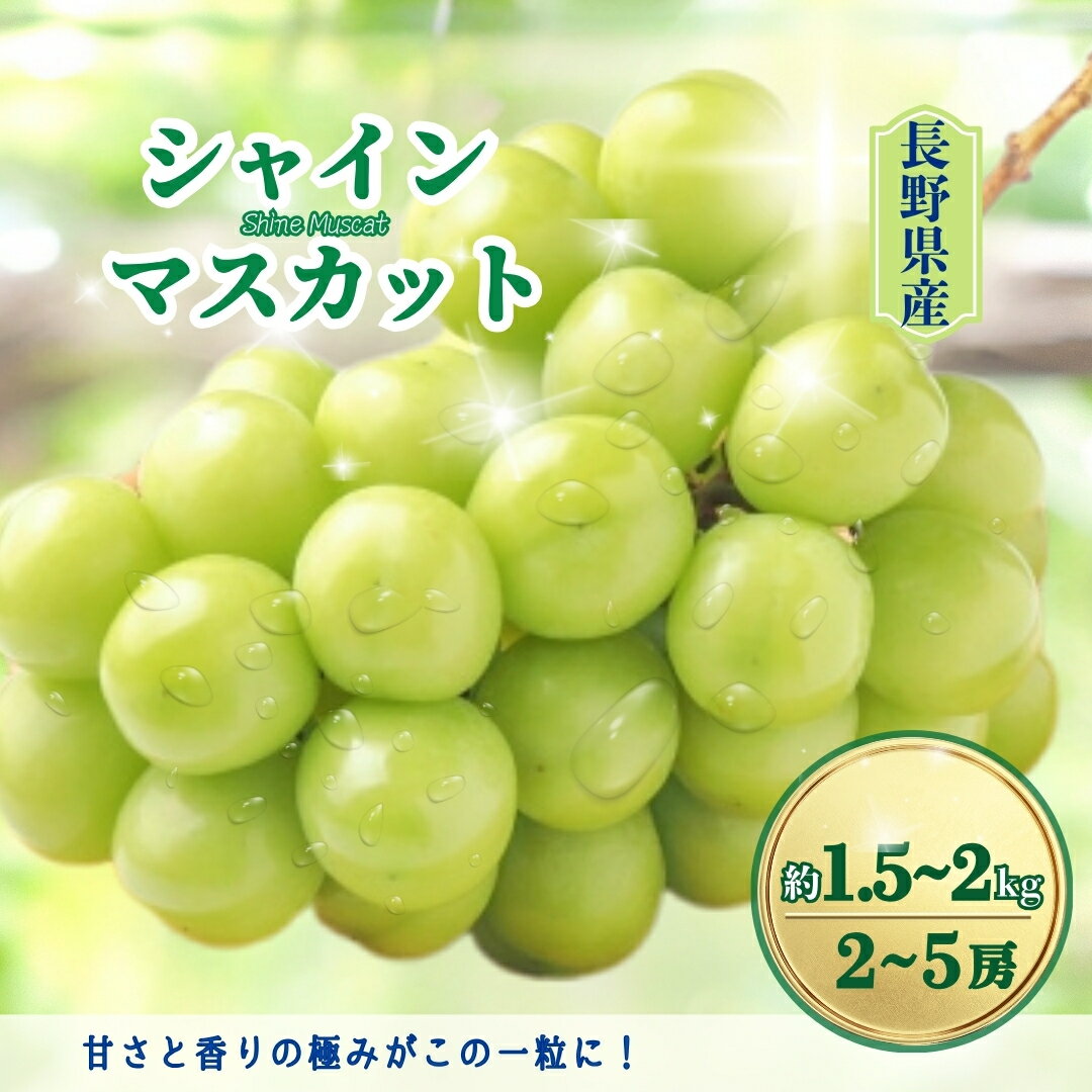 【ふるさと納税】【2026年先行予約】シャインマスカット 約1.5kg / 約2kg｜ 果物 フルーツ 白ぶどう 葡萄 ブドウ 種無し 種なし 皮ごと 千曲市 長野県 信州